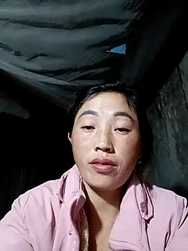 seacyre's cam snapshot