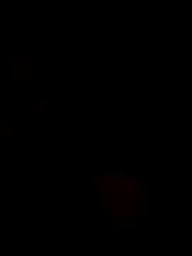 Leaberrry live sex cam