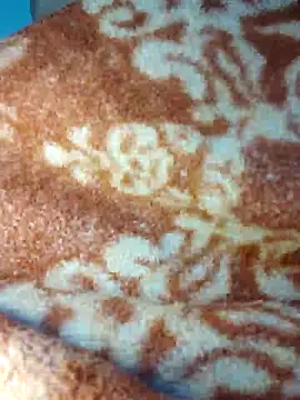 Sheela-Bhabi's cam snapshot