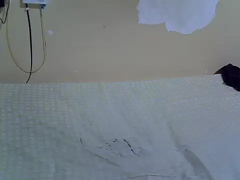 EbonyMina_'s cam snapshot