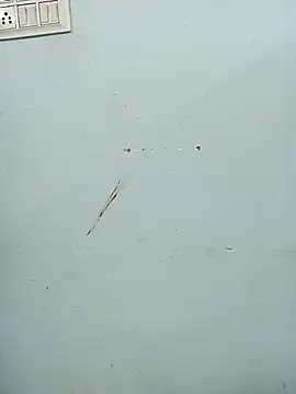 Haniya-143's cam snapshot