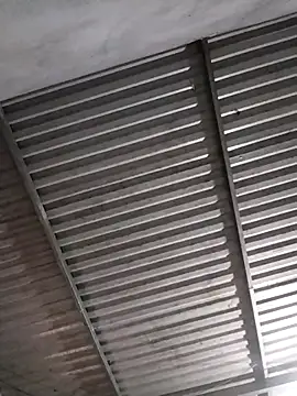 Comb-bii's cam snapshot