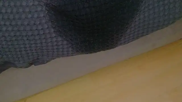 FreyaFucksFans's cam snapshot