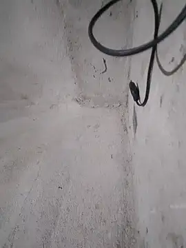 carlos40404 live sex cam