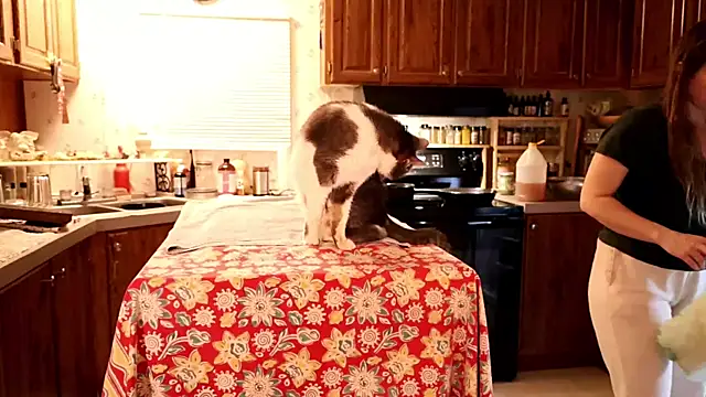 xxpixeyxx's cam snapshot