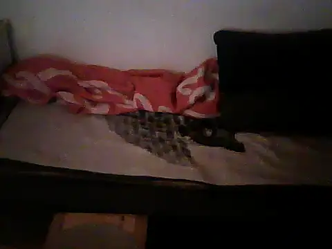 schmidtler35's cam snapshot