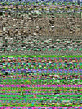 nerdynina's cam snapshot