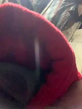 bi-bo123's cam snapshot