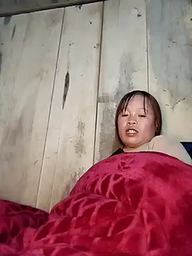 noko545's cam snapshot