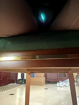 petoys's cam snapshot