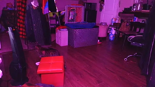 bigshh8 live sex cam