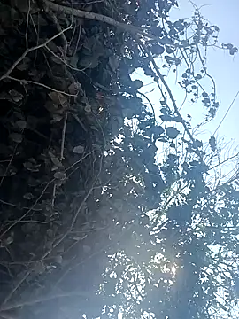 Babita_Gori's cam snapshot