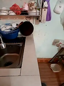 Tulip-i's cam snapshot