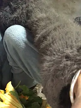 Kylie_beem's cam snapshot