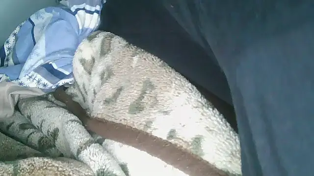 Horny208 live sex cam