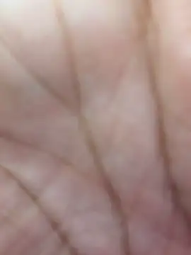 Realwetpussy live sex cam