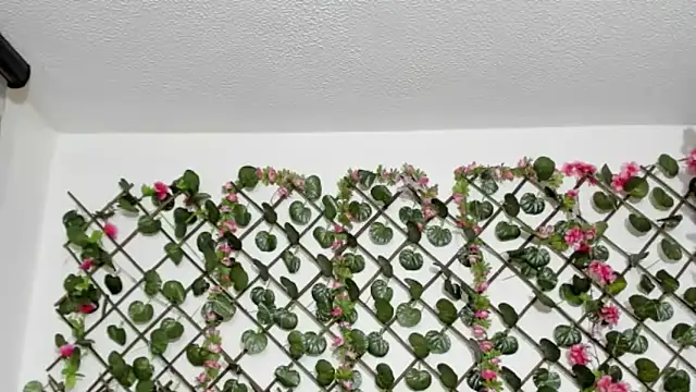 antonella4youu's cam snapshot