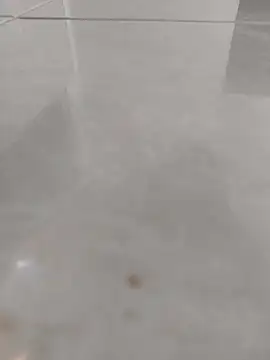 LunaJacobs's cam snapshot