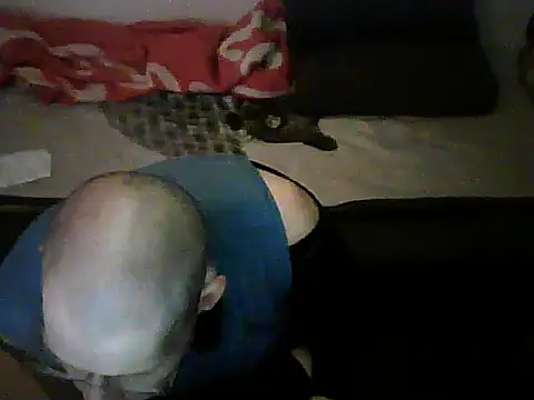 schmidtler35 live sex cam