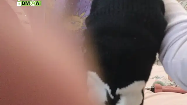 KawaiiNullify live sex cam