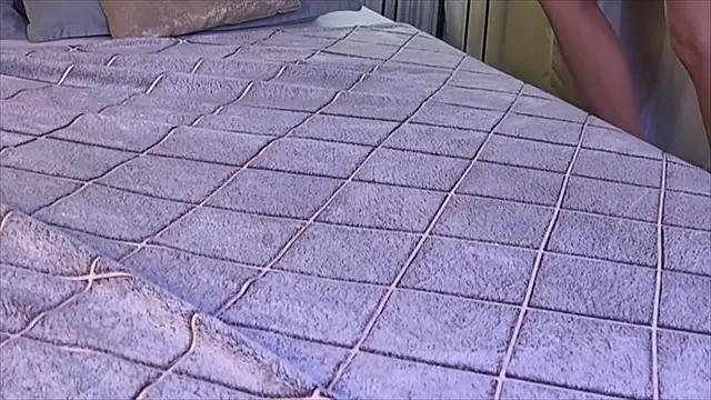 viviann_evans's cam snapshot