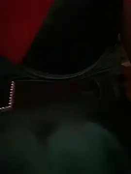 w3tkittty's cam snapshot