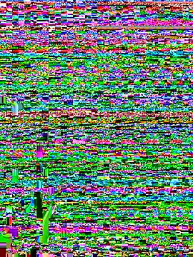 chocolatito-ho's cam snapshot