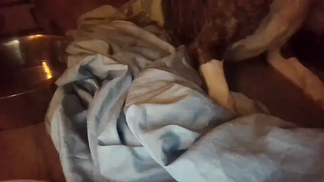 PornStro921 live sex cam