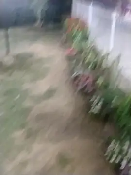 SHARLOT2427's cam snapshot