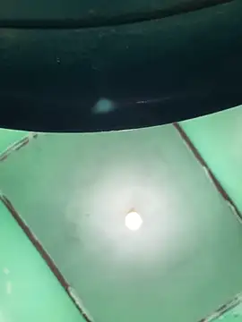 Tnydns's cam snapshot