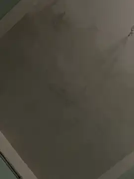 qinejr37's cam snapshot