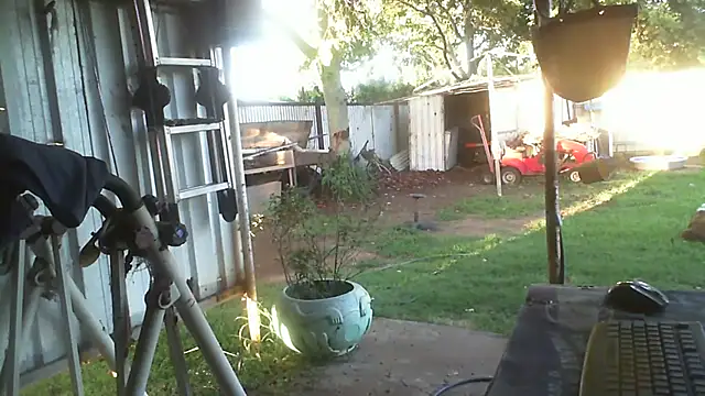 herbie010666 live sex cam