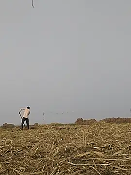 ThethunderPo live sex cam