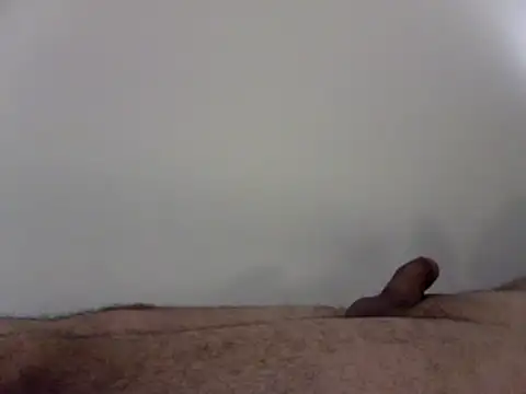 elzabeeer2230 live sex cam