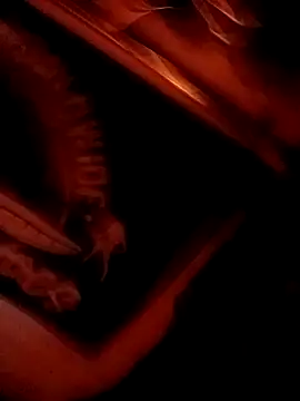 ySqmbVanbe live sex cam