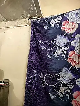 meenu_bhabhi547's cam snapshot