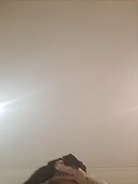 thicktash live sex cam