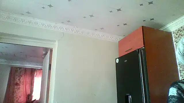 hairybushpussyxx1 live sex cam