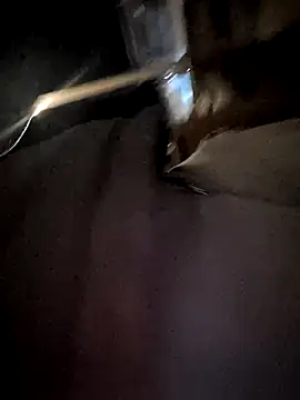 Armyexhibitionistvet live sex cam