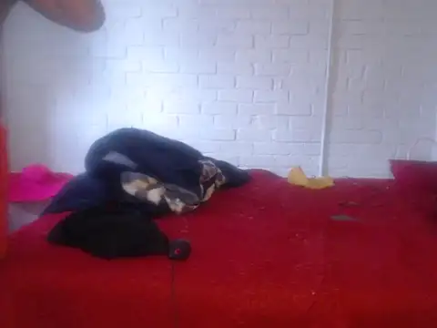 pussyboywet22 live sex cam