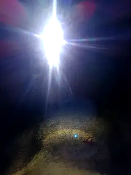 nicali78's cam snapshot