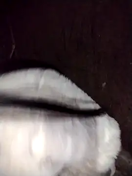 galaxy898's cam snapshot