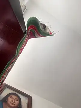 sophie-honey's cam snapshot