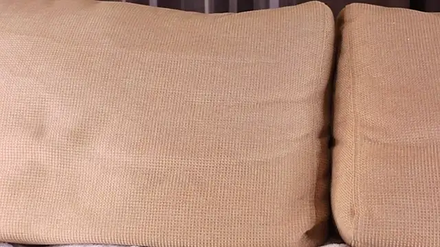 StevieKemner's cam snapshot