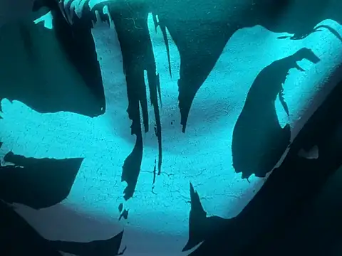 Dyskizly live sex cam