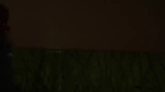 ElmaSmallman's cam snapshot