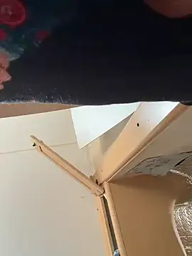 high3ndlowlife live sex cam