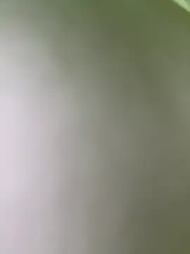 leo-kitty's cam snapshot