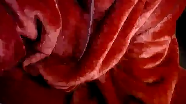 Niquitasparkles's cam snapshot