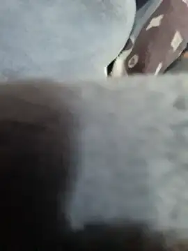 Boyshow88's cam snapshot